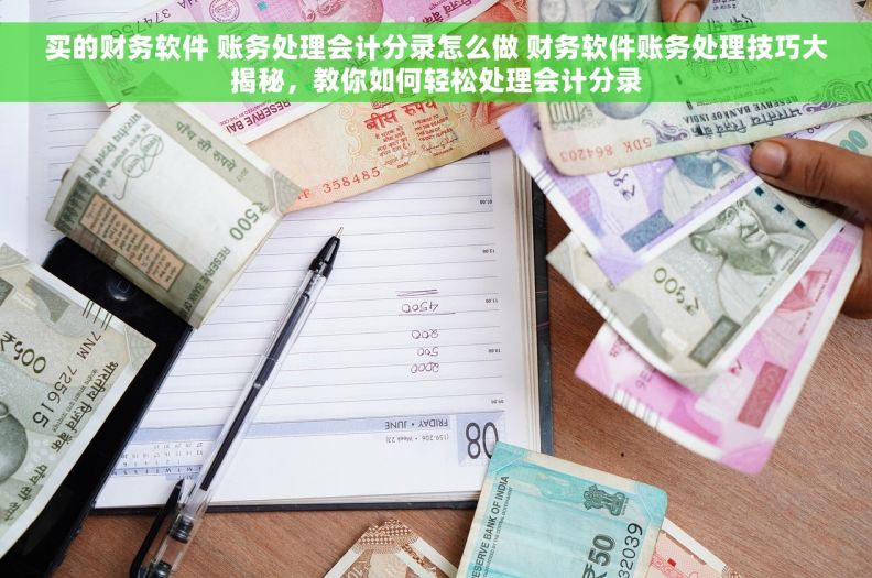 买的财务软件 账务处理会计分录怎么做 财务软件账务处理技巧大揭秘，教你如何轻松处理会计分录