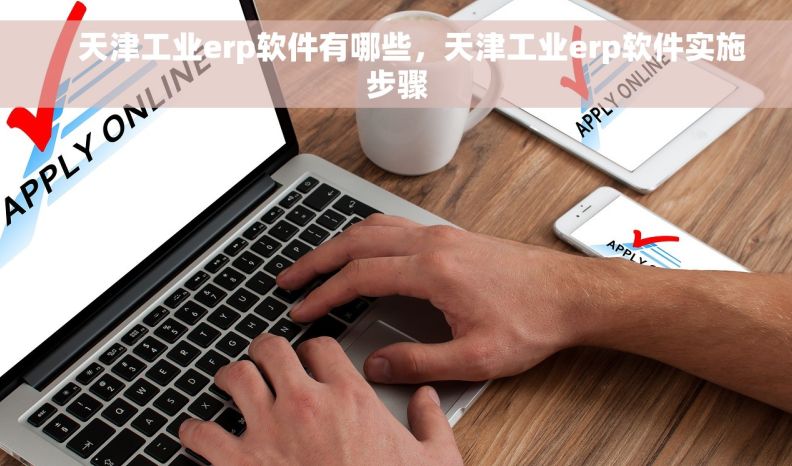     天津工业erp软件有哪些，天津工业erp软件实施步骤