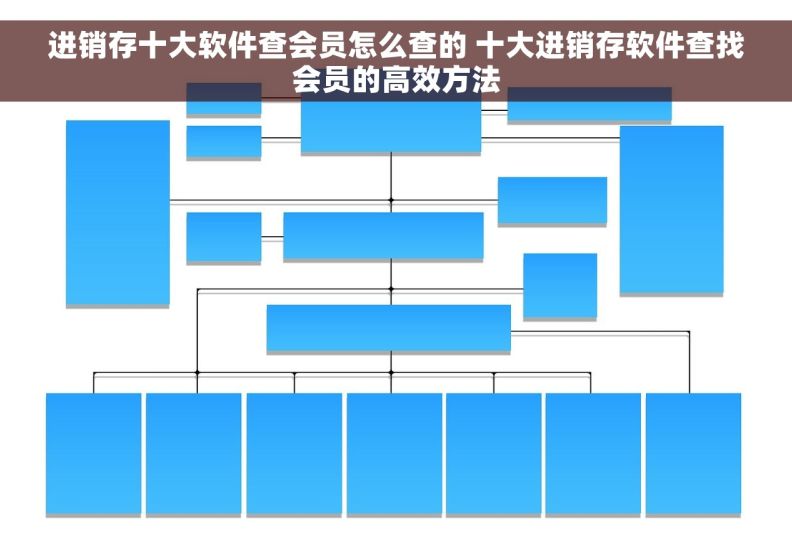 进销存十大软件查会员怎么查的 十大进销存软件查找会员的高效方法