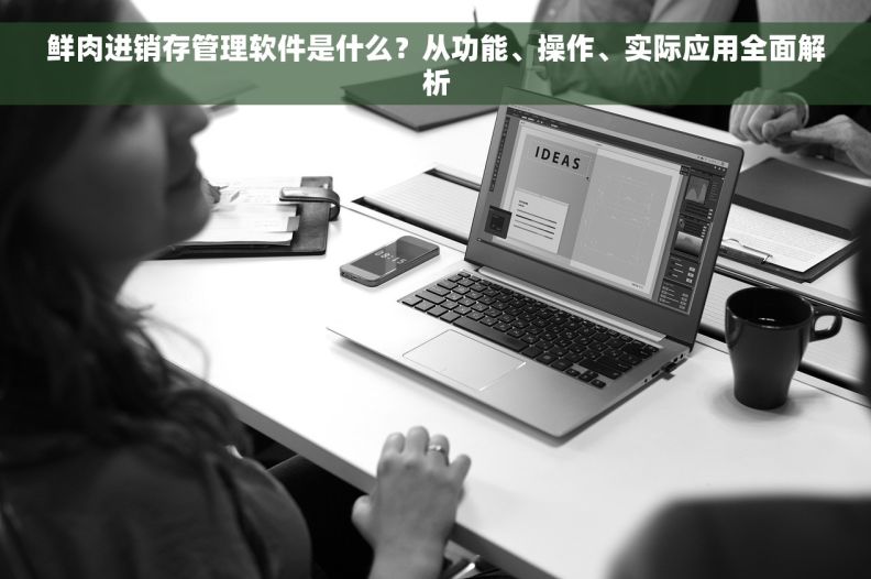 鲜肉进销存管理软件是什么？从功能、操作、实际应用全面解析