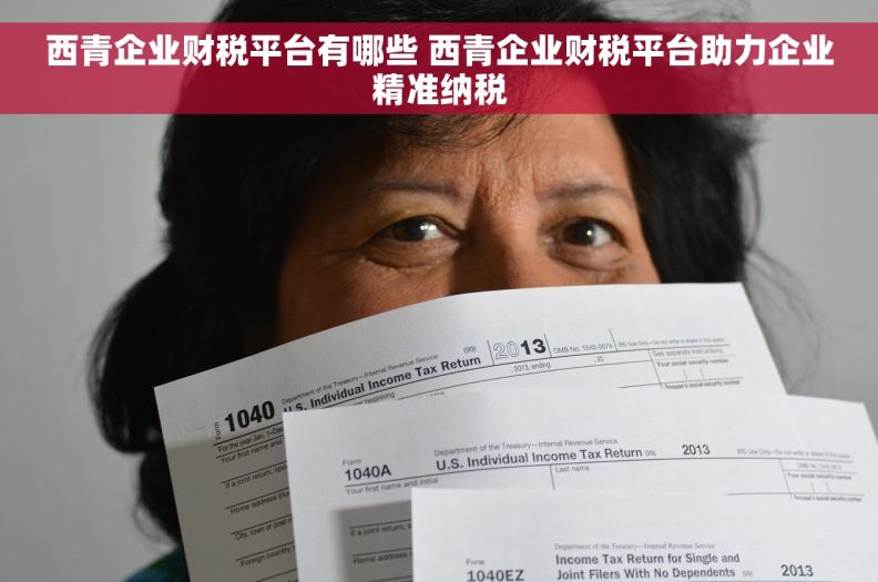 西青企业财税平台有哪些 西青企业财税平台助力企业精准纳税