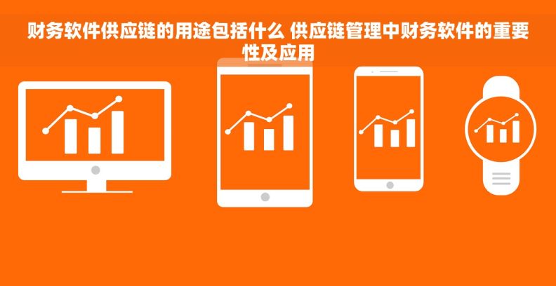 财务软件供应链的用途包括什么 供应链管理中财务软件的重要性及应用