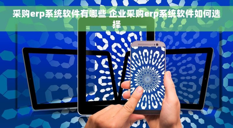 采购erp系统软件有哪些 企业采购erp系统软件如何选择