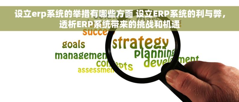 设立erp系统的举措有哪些方面 设立ERP系统的利与弊，透析ERP系统带来的挑战和机遇