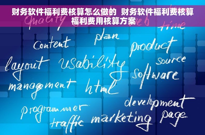 财务软件福利费核算怎么做的  财务软件福利费核算 福利费用核算方案