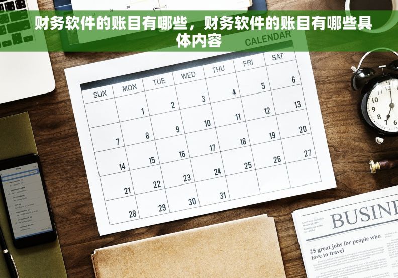   财务软件的账目有哪些，财务软件的账目有哪些具体内容