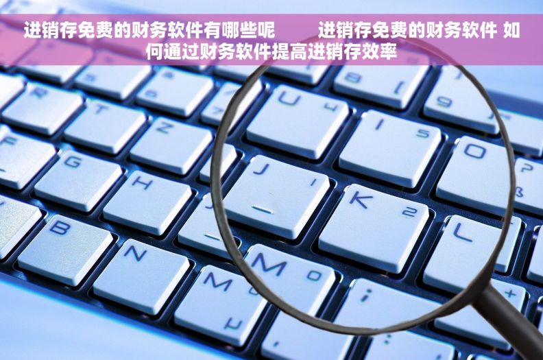 进销存免费的财务软件有哪些呢         进销存免费的财务软件 如何通过财务软件提高进销存效率