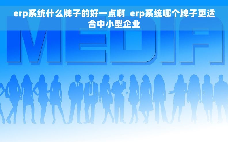 erp系统什么牌子的好一点啊  erp系统哪个牌子更适合中小型企业