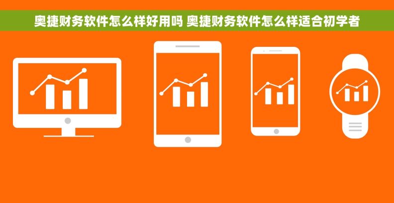奥捷财务软件怎么样好用吗 奥捷财务软件怎么样适合初学者