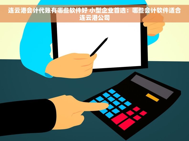 连云港会计代账有哪些软件好 小型企业首选：哪些会计软件适合连云港公司