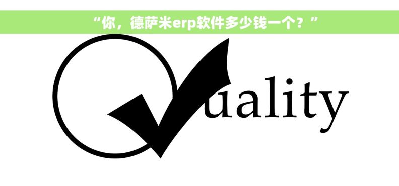 “你，德萨米erp软件多少钱一个？”