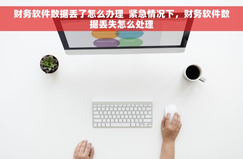 财务软件数据丢了怎么办理  紧急情况下，财务软件数据丢失怎么处理