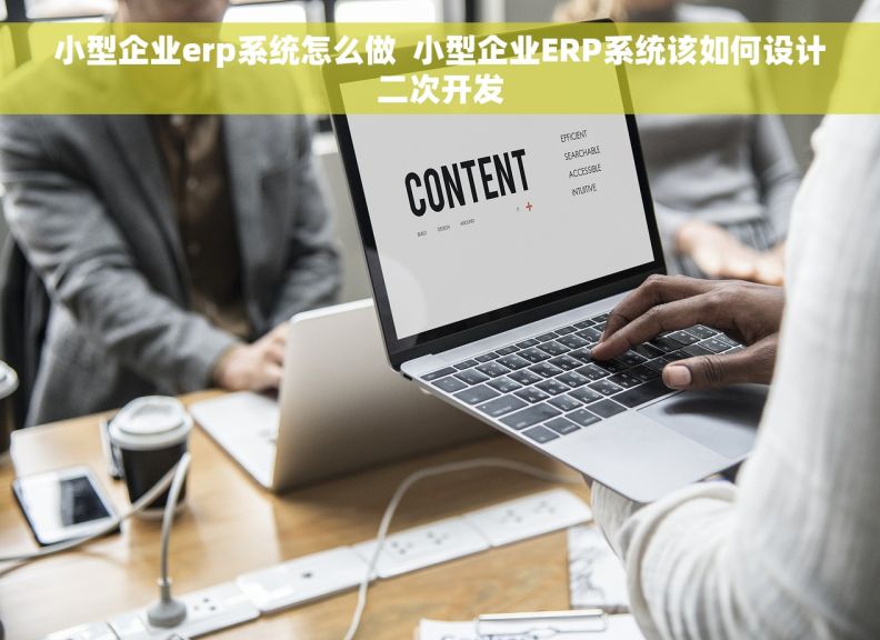 小型企业erp系统怎么做  小型企业ERP系统该如何设计二次开发