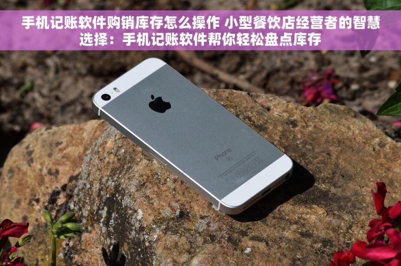 手机记账软件购销库存怎么操作 小型餐饮店经营者的智慧选择:手机记账软件帮你轻松盘点库存 手机记账软件购销库存怎么操作 小型餐饮店经营者的智慧选择:手机记账软件帮你轻松盘点库存