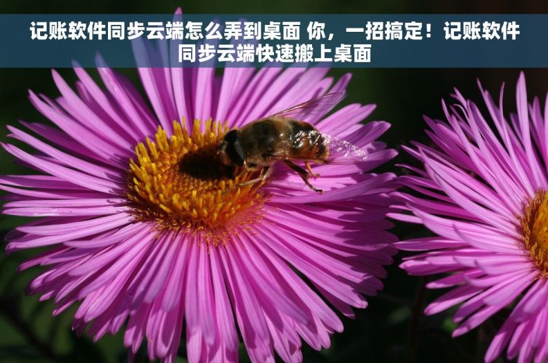 记账软件同步云端怎么弄到桌面 你，一招搞定！记账软件同步云端快速搬上桌面