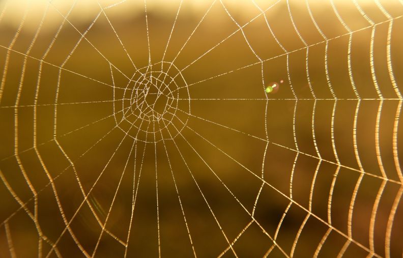 记账软件同步云端怎么弄到桌面 你,一招搞定!记账软件同步云端快速搬上桌面 记账软件同步云端怎么弄到桌面 你,一招搞定!记账软件同步云端快速搬上桌面