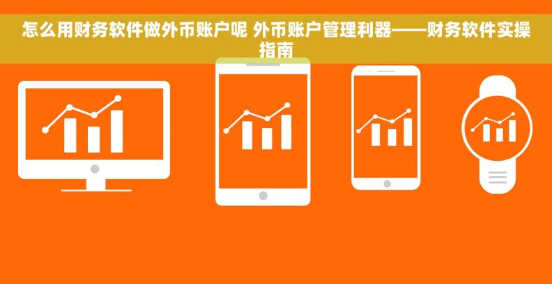 怎么用财务软件做外币账户呢 外币账户管理利器——财务软件实操指南