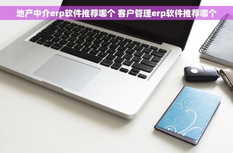地产中介erp软件推荐哪个 客户管理erp软件推荐哪个