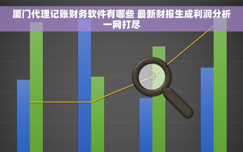厦门代理记账财务软件有哪些 最新财报生成利润分析一网打尽