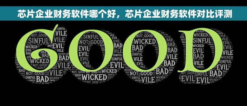  芯片企业财务软件哪个好，芯片企业财务软件对比评测