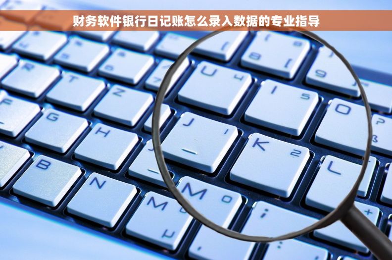 财务软件银行日记账怎么录入数据的专业指导