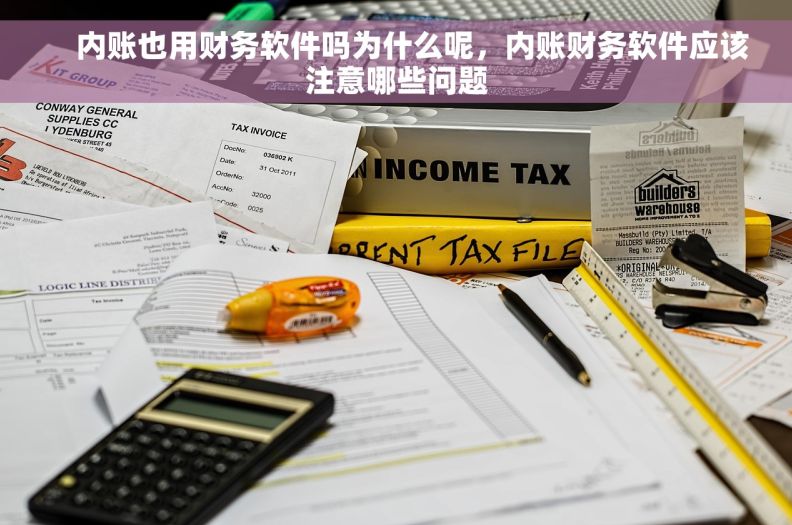     内账也用财务软件吗为什么呢，内账财务软件应该注意哪些问题
