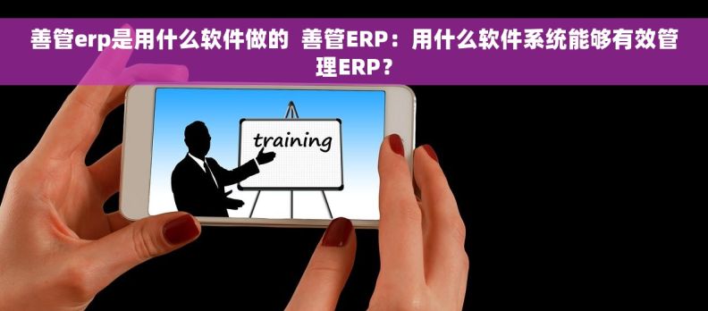 善管erp是用什么软件做的  善管ERP：用什么软件系统能够有效管理ERP？