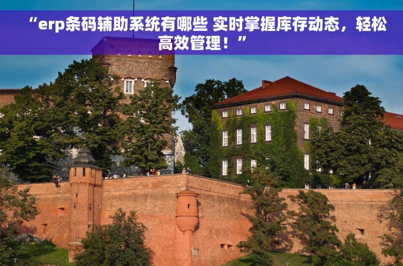 “erp条码辅助系统有哪些 实时掌握库存动态,轻松高效管理!” “erp条码辅助系统有哪些 实时掌握库存动态,轻松高效管理!”