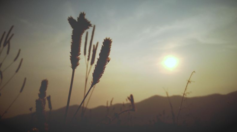 “erp条码辅助系统有哪些 实时掌握库存动态,轻松高效管理!” “erp条码辅助系统有哪些 实时掌握库存动态,轻松高效管理!”