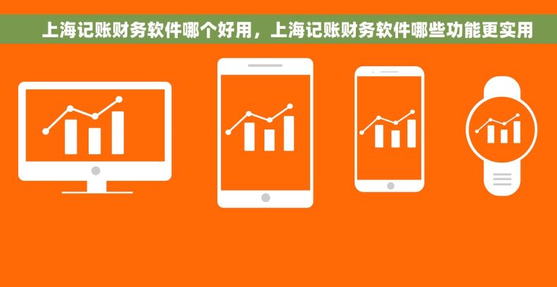     上海记账财务软件哪个好用，上海记账财务软件哪些功能更实用