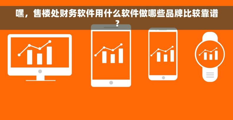 嘿，售楼处财务软件用什么软件做哪些品牌比较靠谱？