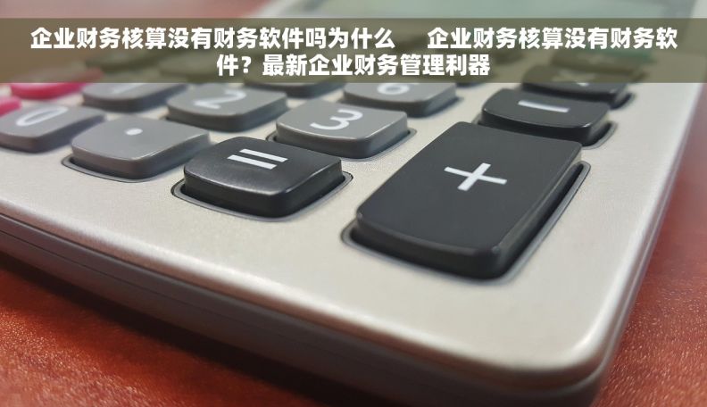 企业财务核算没有财务软件吗为什么 企业财务核算没有财务软件?最新企业财务管理利器 企业财务核算没有财务软件吗为什么 企业财务核算没有财务软件?最新企业财务管理利器