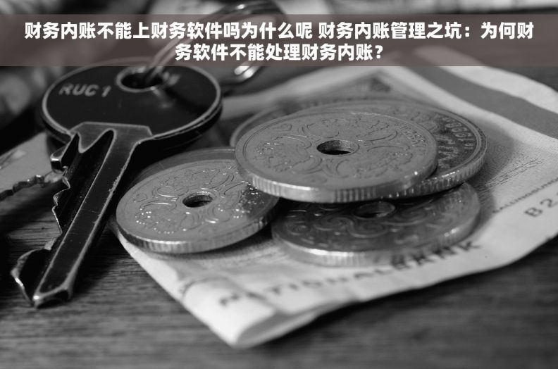 财务内账不能上财务软件吗为什么呢 财务内账管理之坑:为何财务软件不能处理财务内账? 财务内账不能上财务软件吗为什么呢 财务内账管理之坑:为何财务软件不能处理财务内账?