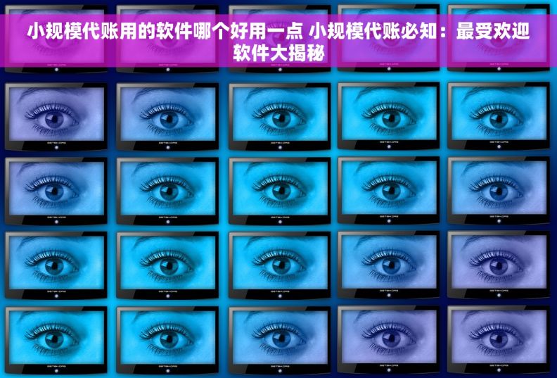 小规模代账用的软件哪个好用一点 小规模代账必知:最受欢迎软件大揭秘 小规模代账用的软件哪个好用一点 小规模代账必知:最受欢迎软件大揭秘