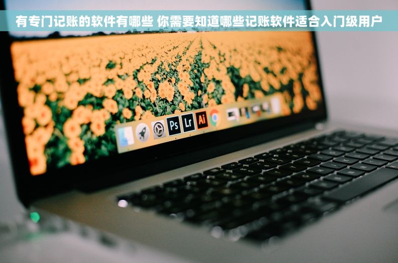 有专门记账的软件有哪些 你需要知道哪些记账软件适合入门级用户