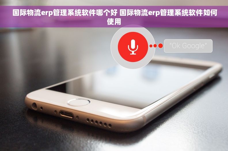  国际物流erp管理系统软件哪个好 国际物流erp管理系统软件如何使用