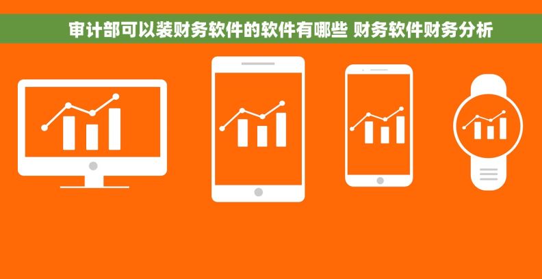 审计部可以装财务软件的软件有哪些 财务软件财务分析 审计部可以装财务软件的软件有哪些 财务软件财务分析