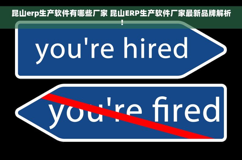 昆山erp生产软件有哪些厂家 昆山ERP生产软件厂家最新品牌解析！