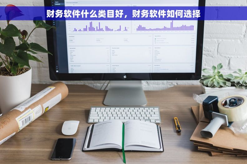 财务软件什么类目好,财务软件如何选择 财务软件什么类目好,财务软件如何选择
