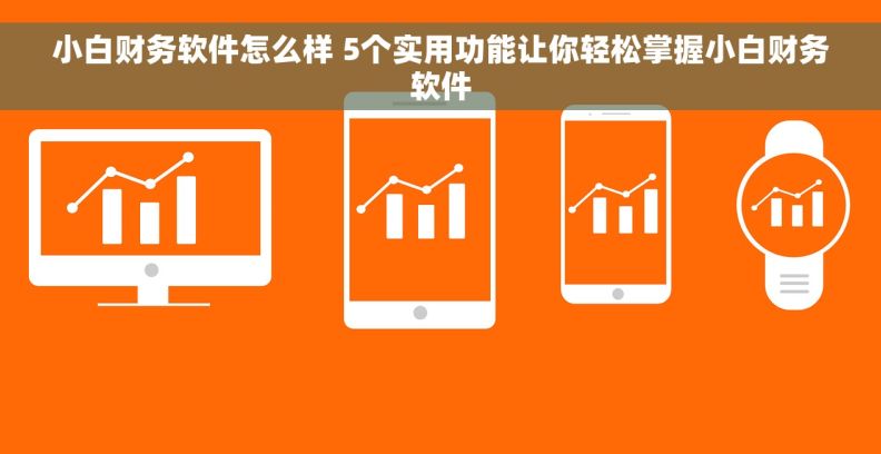 小白财务软件怎么样 5个实用功能让你轻松掌握小白财务软件
