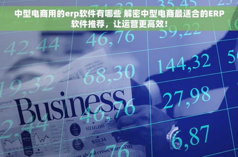 中型电商用的erp软件有哪些 解密中型电商最适合的ERP软件推荐，让运营更高效！