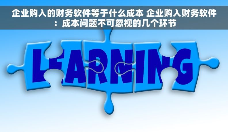 企业购入的财务软件等于什么成本 企业购入财务软件:成本问题不可忽视的几个环节 企业购入的财务软件等于什么成本 企业购入财务软件:成本问题不可忽视的几个环节