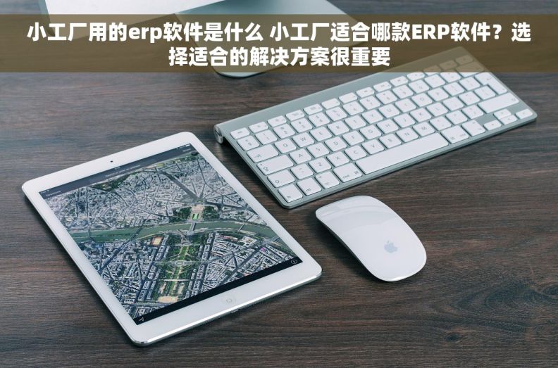 小工厂用的erp软件是什么 小工厂适合哪款ERP软件？选择适合的解决方案很重要