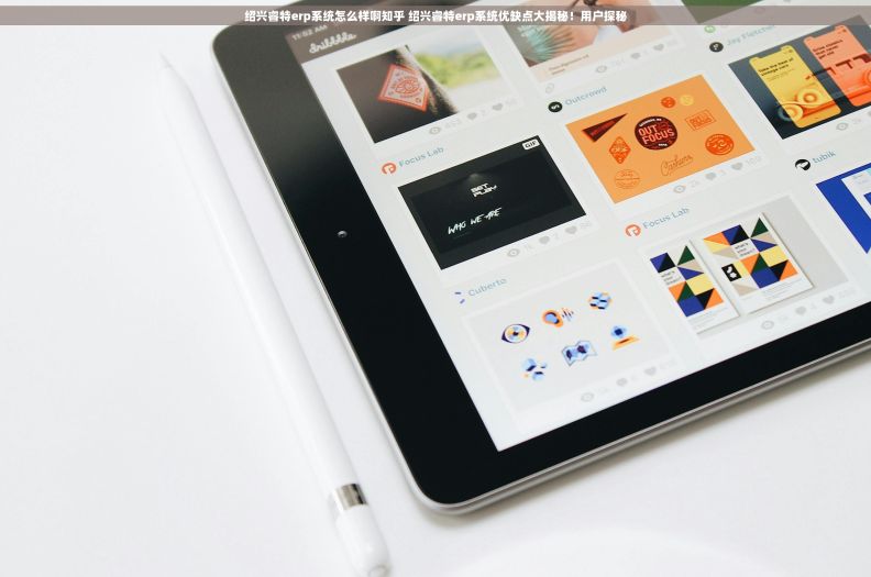 绍兴睿特erp系统怎么样啊知乎 绍兴睿特erp系统优缺点大揭秘！用户探秘