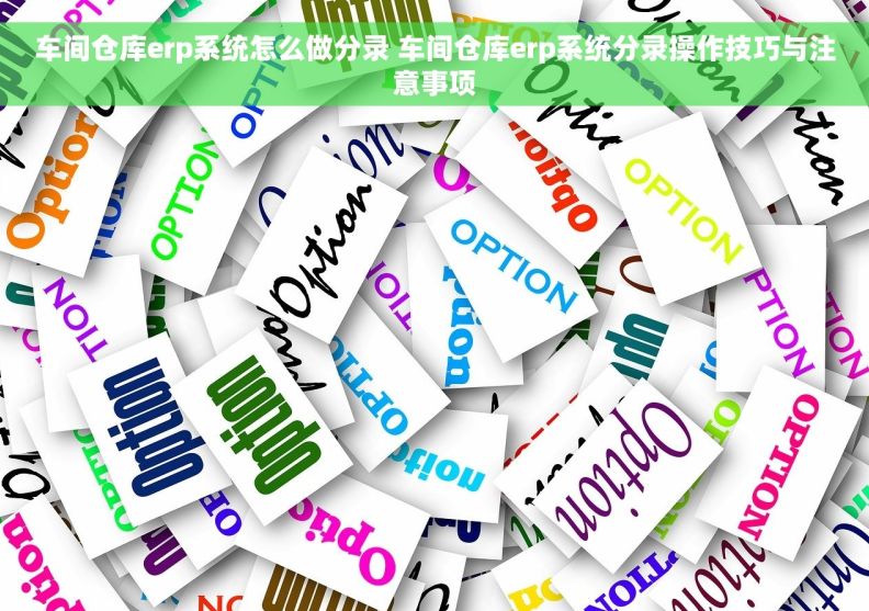 车间仓库erp系统怎么做分录 车间仓库erp系统分录操作技巧与注意事项