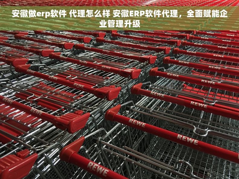 安徽做erp软件 代理怎么样 安徽ERP软件代理,全面赋能企业管理升级 安徽做erp软件 代理怎么样 安徽ERP软件代理,全面赋能企业管理升级
