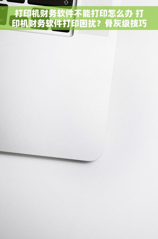 打印机财务软件不能打印怎么办 打印机财务软件打印困扰?骨灰级技巧助你一臂之力 打印机财务软件不能打印怎么办 打印机财务软件打印困扰?骨灰级技巧助你一臂之力