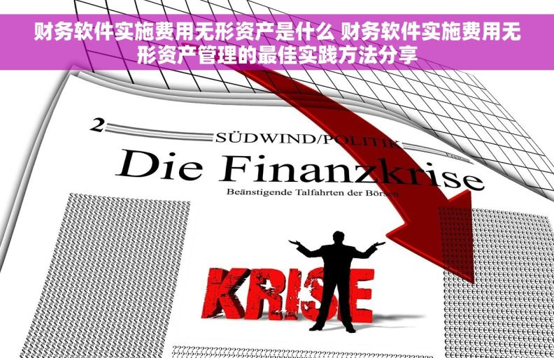 财务软件实施费用无形资产是什么 财务软件实施费用无形资产管理的最佳实践方法分享 财务软件实施费用无形资产是什么 财务软件实施费用无形资产管理的最佳实践方法分享