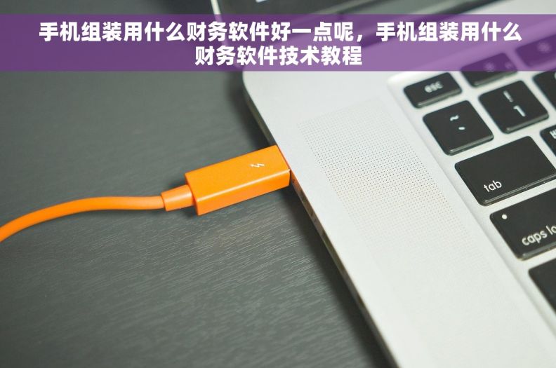 手机组装用什么财务软件好一点呢,手机组装用什么财务软件技术教程 手机组装用什么财务软件好一点呢,手机组装用什么财务软件技术教程