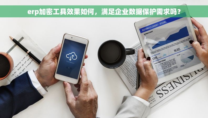 erp加密工具效果如何，满足企业数据保护需求吗？